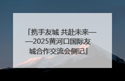 携手友城 共赴未来——2025黄河口国际友城合作交流会侧记